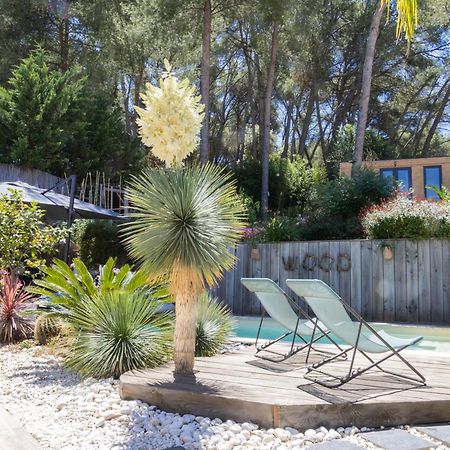 Charmant Studio Lodge Climatise Avec Jardin Et Vue Sur Le Pic Saint Loup Jacou Eksteriør billede